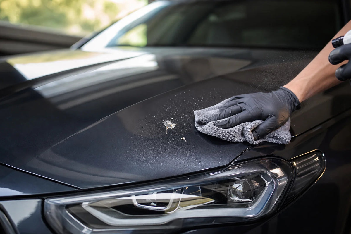 Vogelpoep op een donkere motorkap wordt voorzichtig losgeweekt met een schone microvezeldoek.